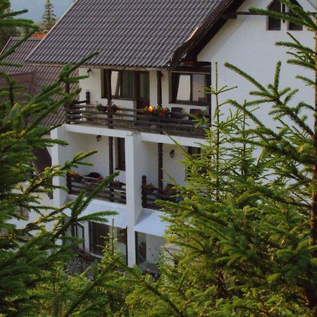 Hotel Cetina Rânca Exteriér fotografie
